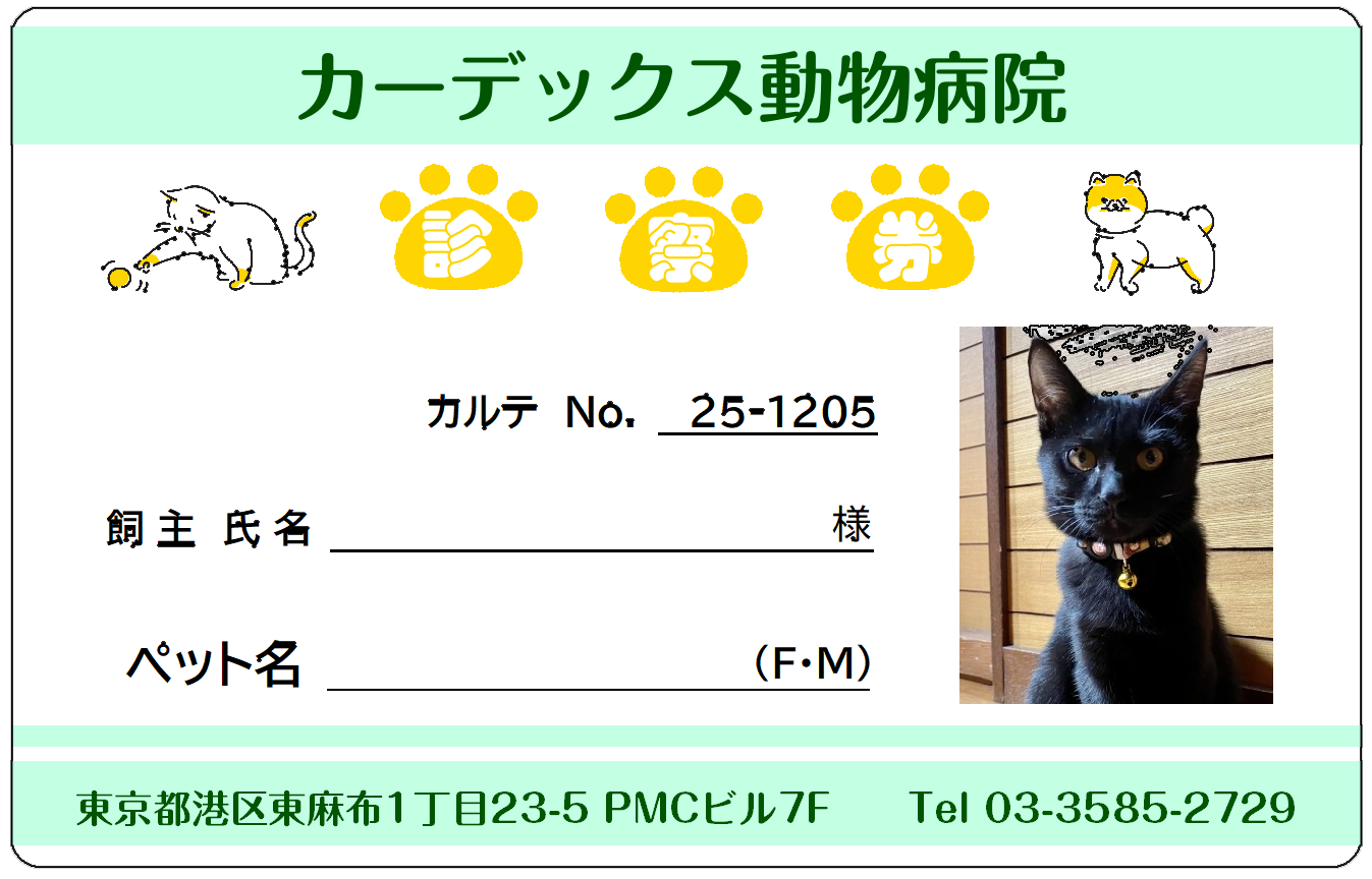 診察券サンプル
